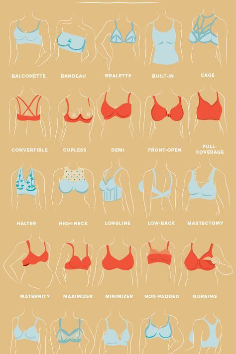 perky teen boobs|The 10 Types of Boobs — Heres What to Know, According to Ob。